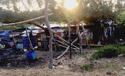 fresh fruits and veggies